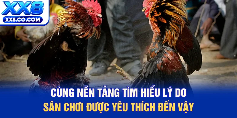 Cùng nền tảng tìm hiểu lý do sân chơi được yêu thích đến vậy