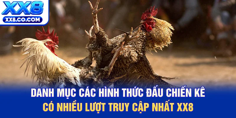 Danh mục các hình thức đấu chiến kê có nhiều lượt truy cập nhất XX8